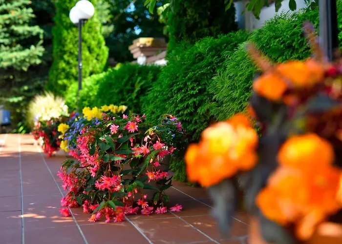 Hotel Alekta - Free Parking Varna