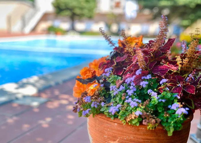 Alekta - Free Parking