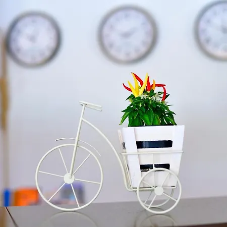 Alekta - Free Parking Хотел 3*