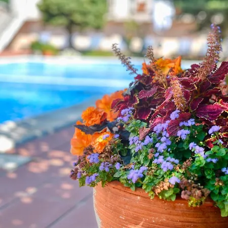 Alekta - Free Parking