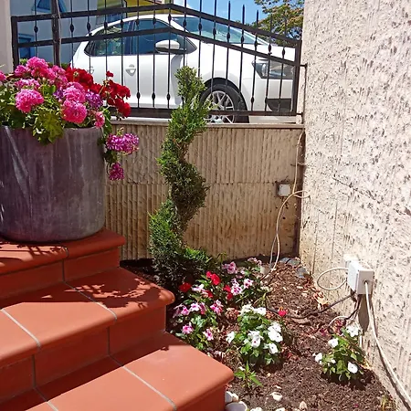 Alekta - Free Parking Hotel Varna